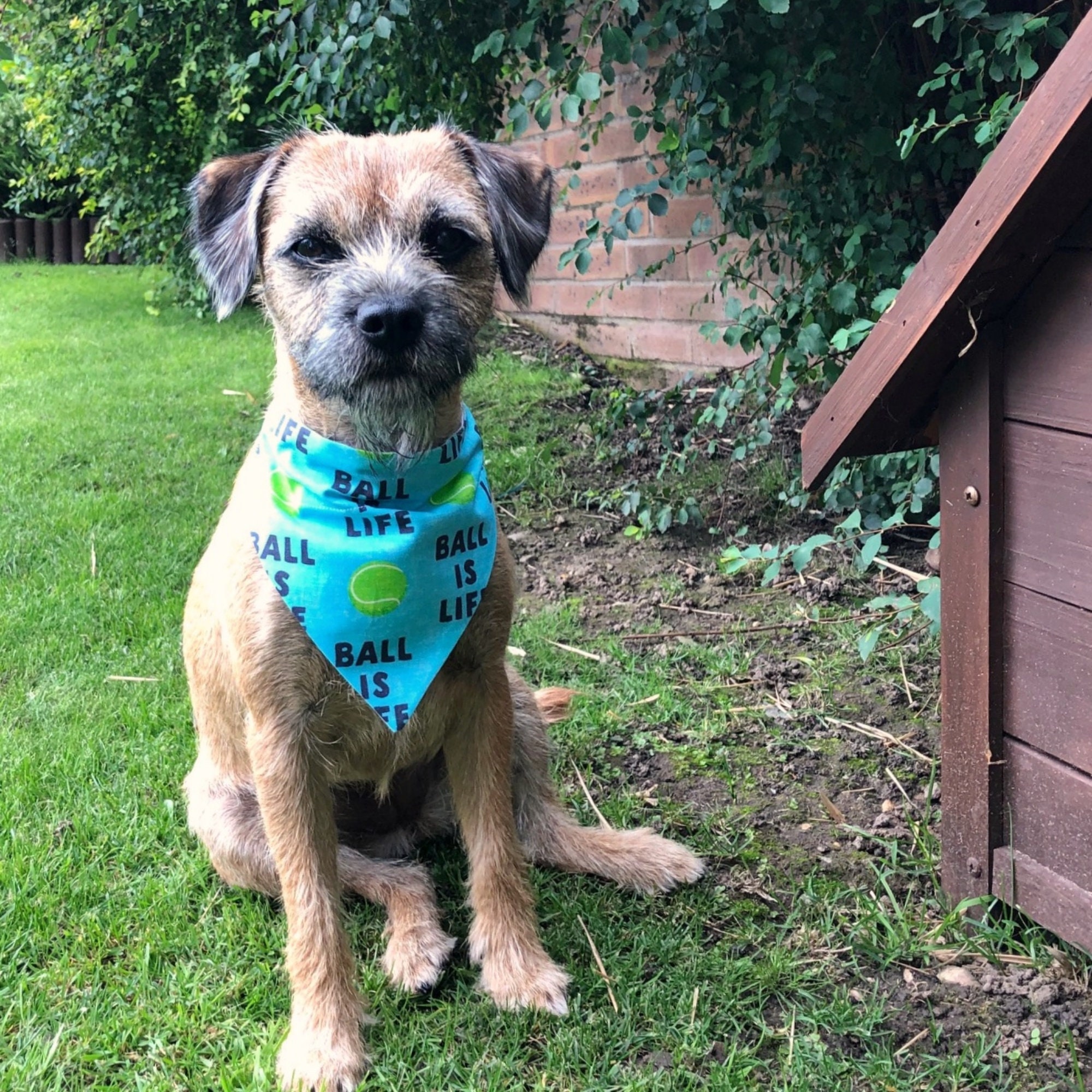 Dog Bandana Dog Collar Bandana Ball is Life Ball Etsy UK