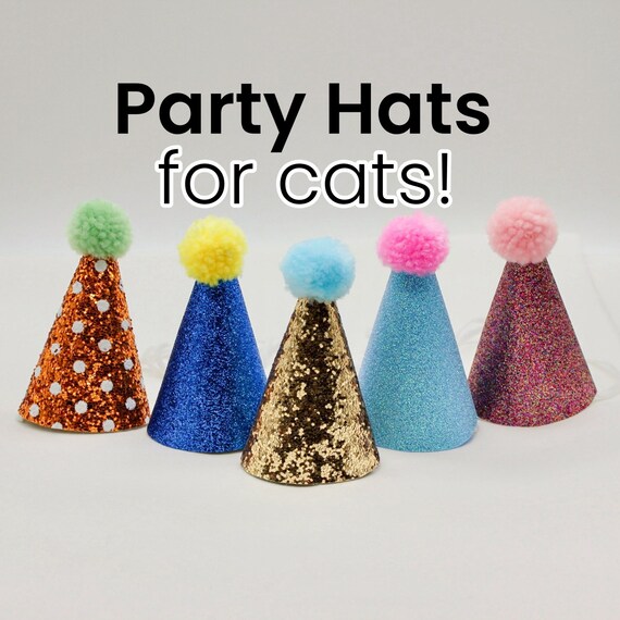 Cat Party Hat Cat Birthday Hat Toy Breed Dog Party Hat Etsy