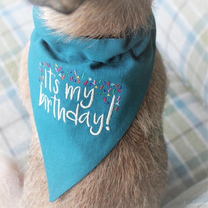 Dog Bandana Dog Collar Bandana It's my birthday Etsy