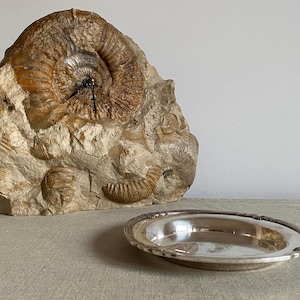 May include: A large, tan, fossilised ammonite rock featuring a central clock mechanism with black hands, positioned next to a small, oval, polished silver-toned metal tray with a decorative rim and a smooth, reflective surface.
