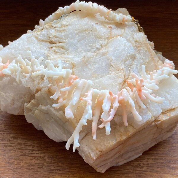 Coral Branch Beads | 50x3 to 41x3mm | White | 12 Beads |