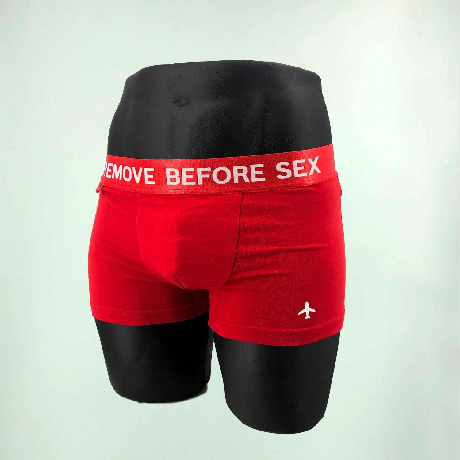 Pants Remove Before Sex Pants For Sex Pants For Pilot T Etsy