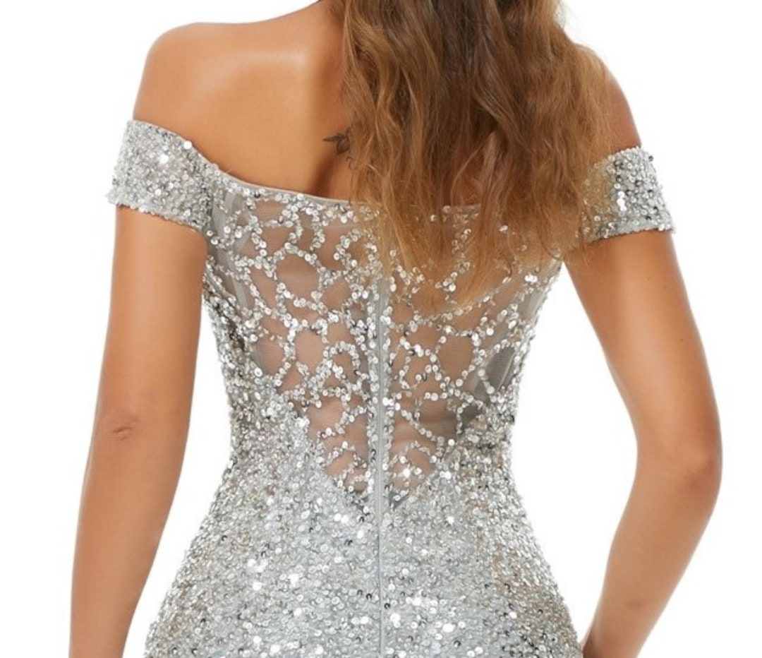 Fully Sequined Silver Edging Dress CP639