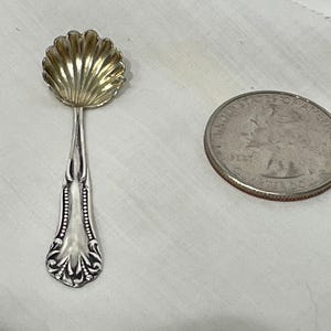 Puede incluir: Una pequeña cuchara de plata ornamentada con un cuenco en forma de concha y un mango decorativo. Una moneda de cuarto de dólar estadounidense está al lado para comparar el tamaño. La cuchara es probablemente para servir sal o especias.