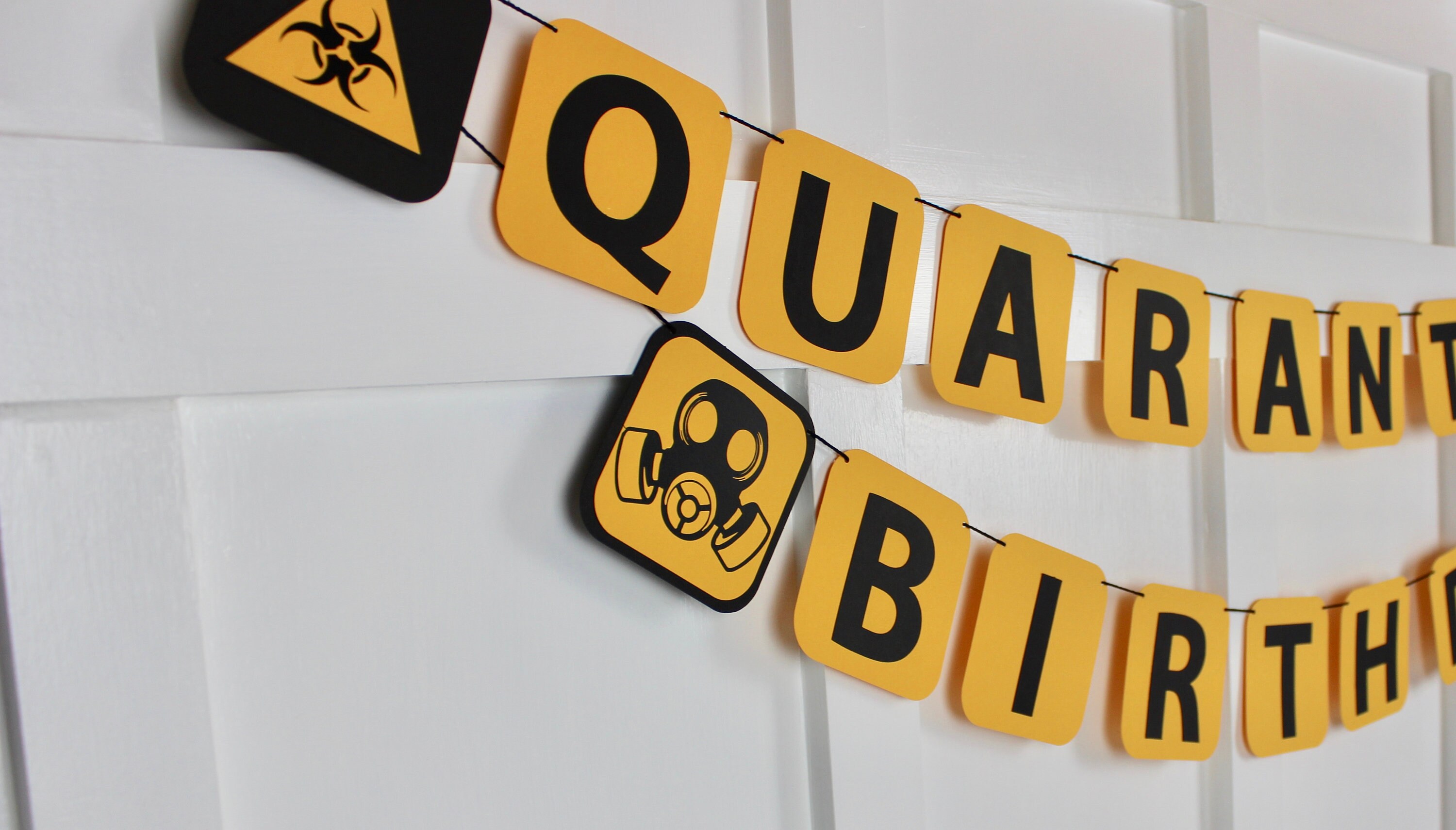 Quarantine Birthday Banner-Quarantine Birthday-Quarantine Party-Quara…
