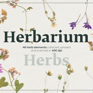 Coffret Herbier fleuri : Herbes