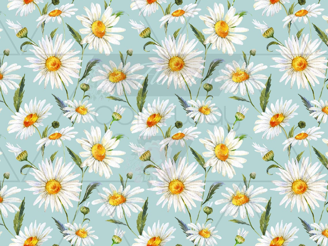 Daisy Daisy Removable Wallpaper Peel and Stick 44 - Etsy