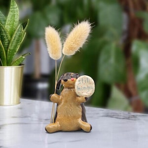 Op de afbeelding: Een klein, bruin en zwart hondje in zittende houding, dat een rond, crèmekleurig bordje vasthoudt met de tekst "still hungry" in blauwe letters. Achter het hondje staan twee pluizige, beige gedroogde grassprieten.