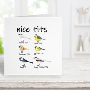 Leuke tieten wenskaarten voor vogelliefhebbers, set van vier grappige natuurliefhebbers handgemaakte kaarten, grapkaarten voor vrienden in een set