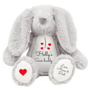 Könnte beinhalten: Ein weiches, graues Plüschkaninchen mit langen Ohren und einem weißen Bauch. Das Kaninchen hat ein aufgenähtes Design mit roten Herzen und dem Text "Holly's Scar buddy". Der Fuß des Kaninchens hat ein rotes Herz und den Text "Love Mum & Dad".
