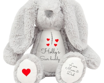 Scar Warrior Heart Surgery Bravery Scar Buddy Teddy Bunny
