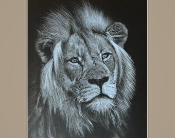 Lion Pencil Drawing Etsy