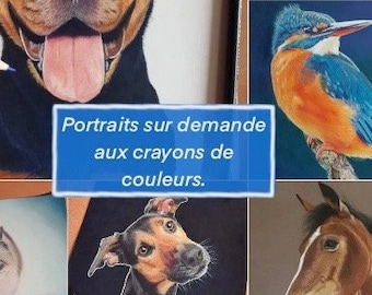 Pet portraits in colored pencils.