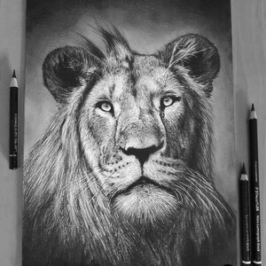 Op de afbeelding: Een gedetailleerde zwart-wit potloodtekening van een leeuwenkop, met fijne details in de vacht en gezichtskenmerken. Gesigneerd door Jerome Berranger, met de tekst "ARTISTE ANIMALIER". Potloden zijn rondom het kunstwerk geplaatst.