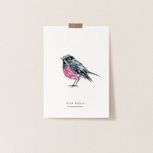 A5 Pink Robin Print |  Robin Print | Watercolour Robin | Watercolour Bird Print |  Bird Illustration