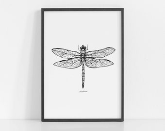 A4|A5 Dragonfly Print | Dragonfly Art | Black & White Dragonfly | Insect Print | Dragonfly Drawing