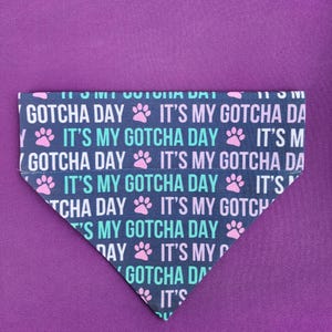 May include: A dark blue dog bandana with pink paw prints and the text "It's My Gotcha Day" repeated in a light blue and white font.