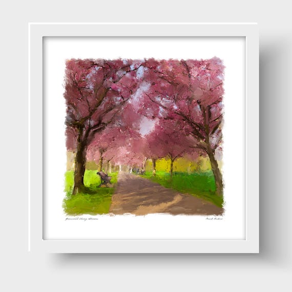 Cherry Blossom in Greenwich Royal Park, London Art Print & Greetings Card