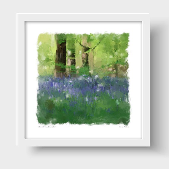 Bluebells in Oxleas Wood, Eltham, London Art Print & Greetings Card