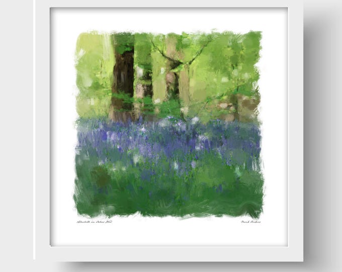 Bluebells in Oxleas Wood, Eltham, London Art Print & Greetings Card