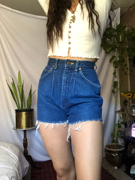 Vintage Dark Wash Denim Shorts / Vintage Ribcage S