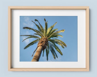 Palm Tree Prints, California Wall Art, San Diego, Coastal Decor, Framed Wall Art, Birthday Gift, Gift for Best Friend