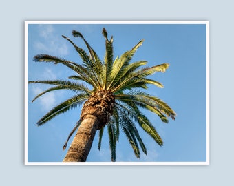 Palm Tree Prints, California Wall Art, San Diego, Coastal Decor, Birthday Gift, Gift for Best Friend