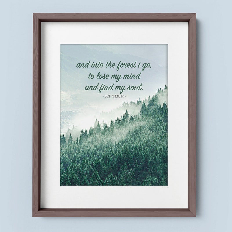 Into the Forest I Go - Etsy