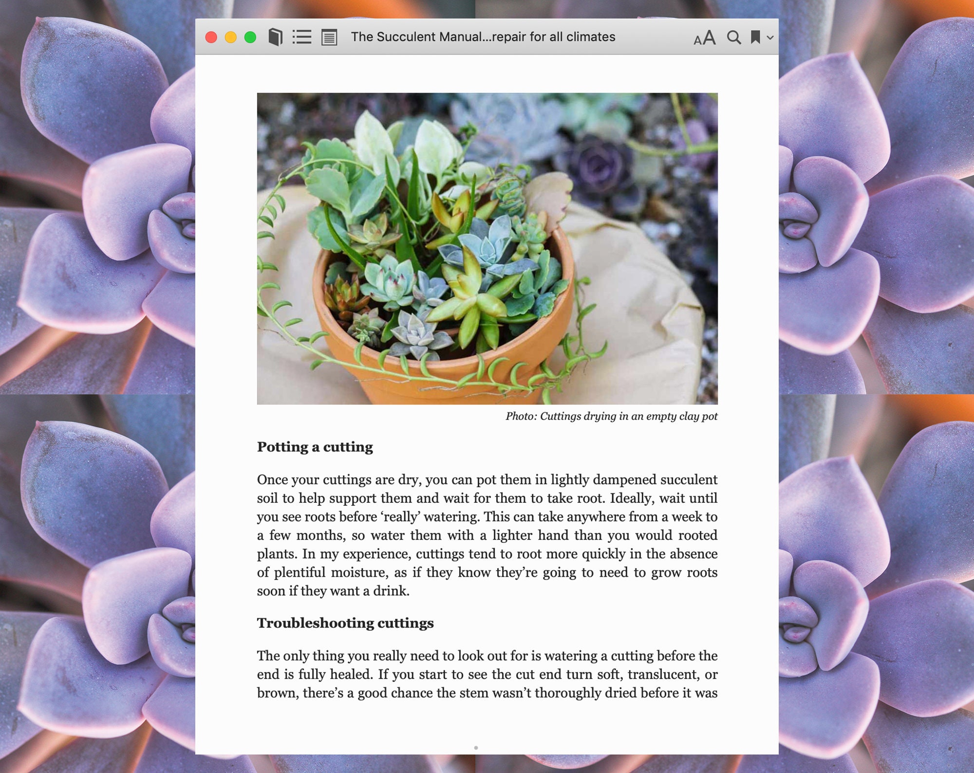 The Succulent Manual- A Guide to Care and Repair for All Climates (2nd ...