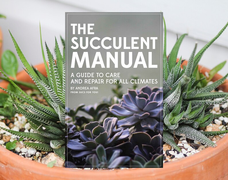 The Succulent Manual A Guide to Care and Repair for All - Etsy