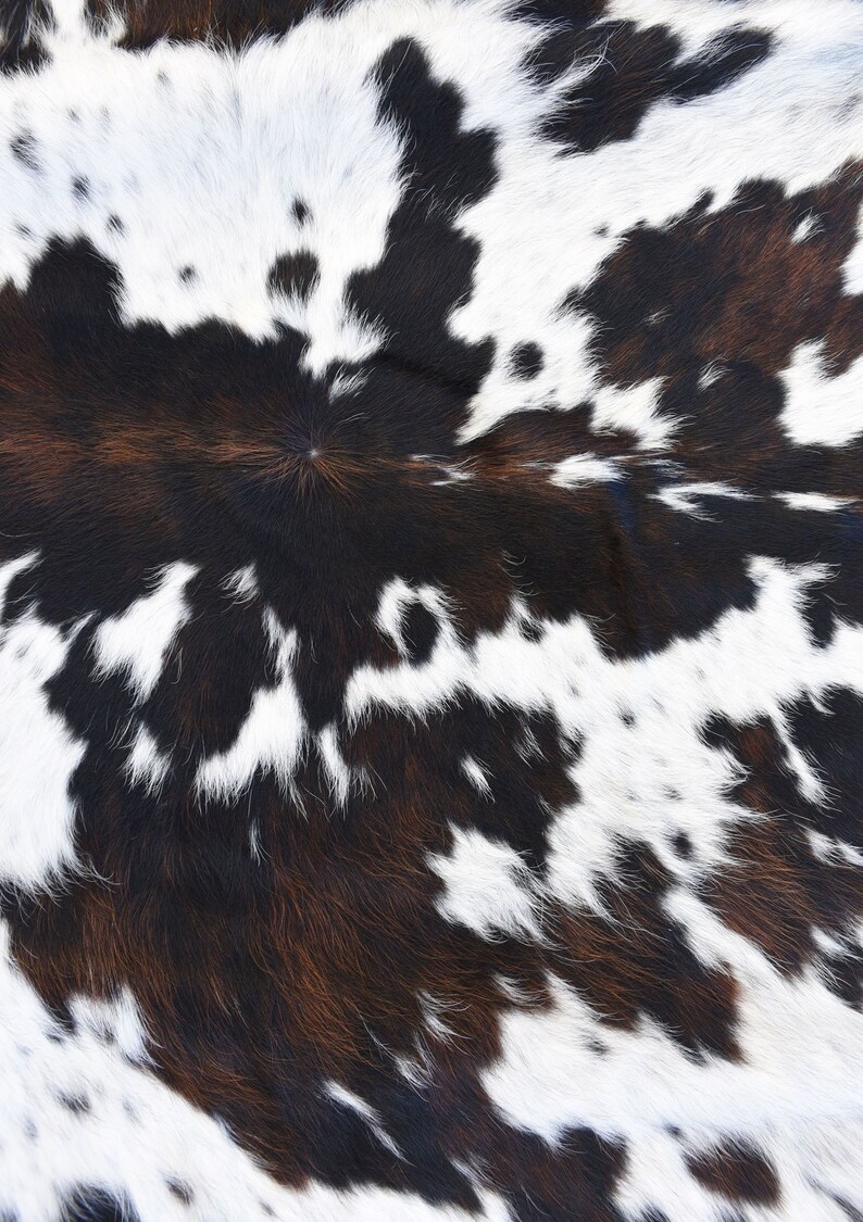 Cowhide Brown Black HTV Cow Animal Print Fur Mexico Serape Printed Print Pattern Sheet Heat Transfer Vinyl Iron On Sheet 12 x 17