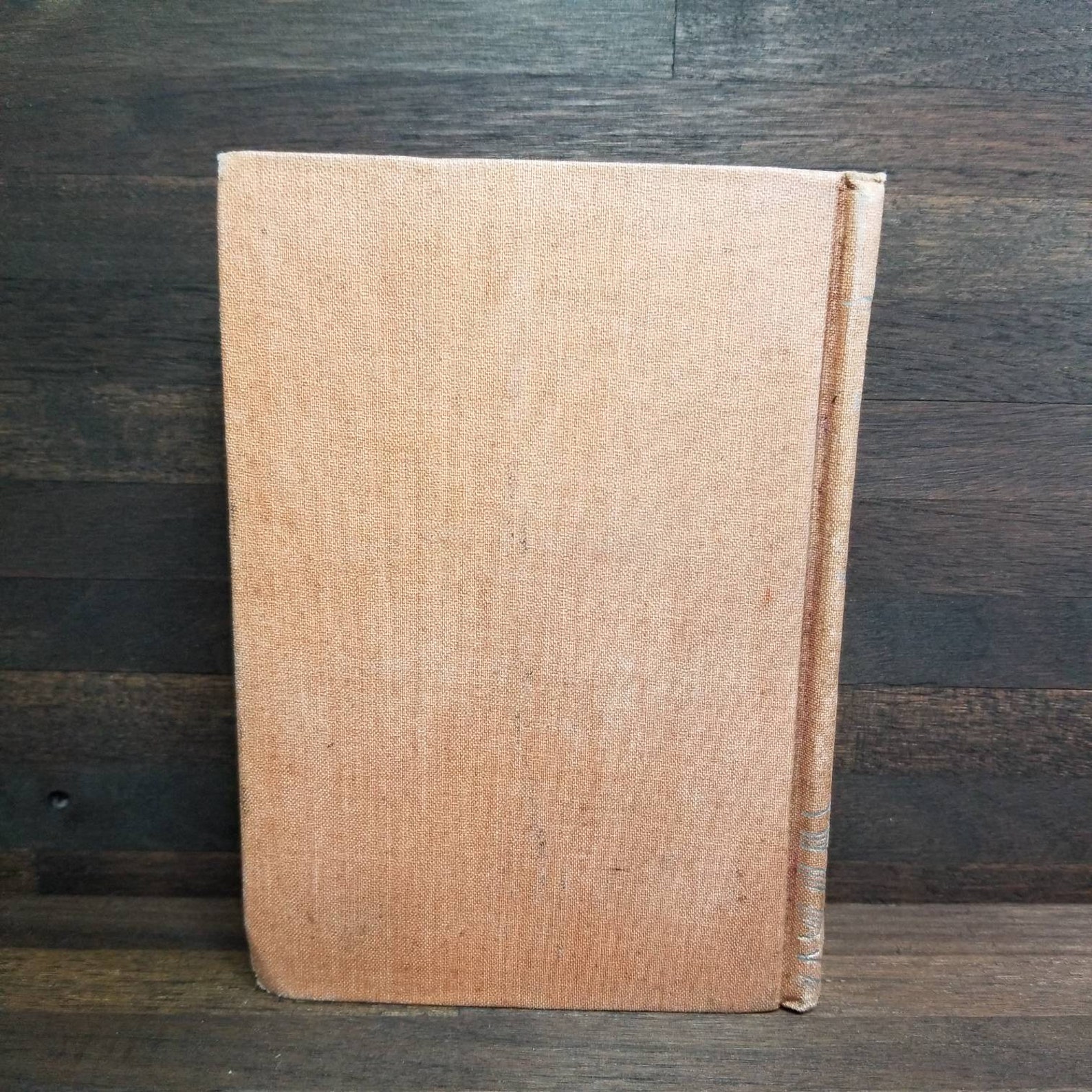 Conclusion paragraph example image