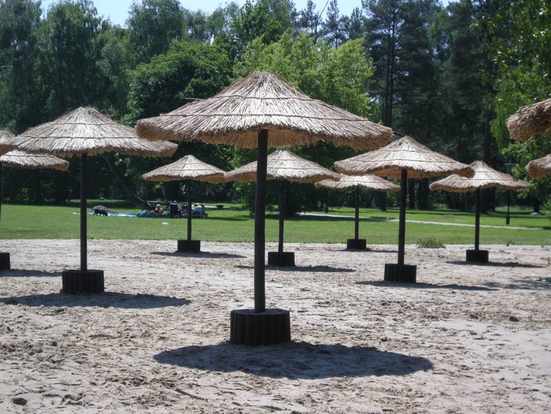 Puede incluir: Una playa de arena con m&uacute;ltiples sombrillas de paja que proporcionan sombra. Las sombrillas est&aacute;n dispuestas en filas, con la m&aacute;s grande en el centro.