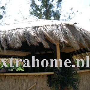 K&ouml;nnte beinhalten: Ein Geb&auml;ude mit Strohdach und Bambusz&auml;unen, mit dem Text "extrahome.nl". Das Dach besteht aus getrockneten Palmbl&auml;ttern, und die Struktur scheint eine Bar oder ein Sitzbereich im Freien zu sein. Die Gesamt&auml;sthetik ist tropisch.