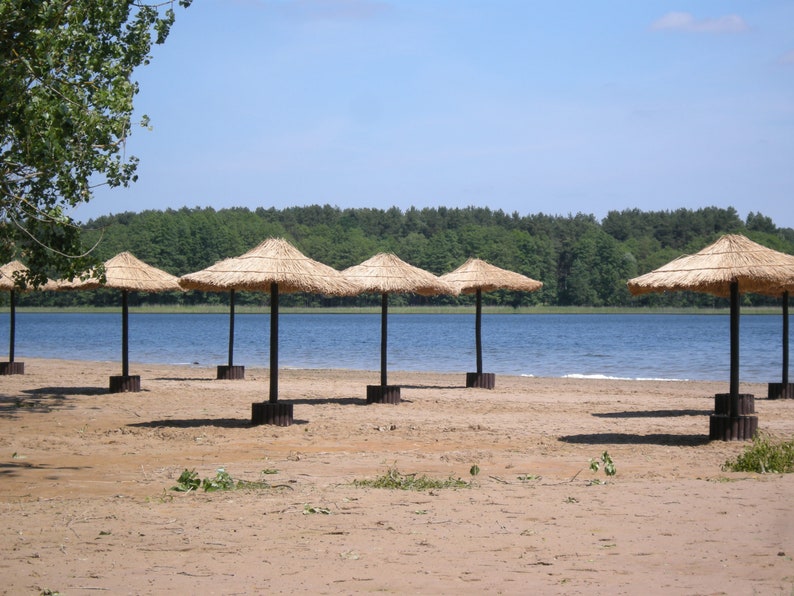K&ouml;nnte beinhalten: Eine sonnige Strandszene mit mehreren Strohschirmen, die Schatten spenden. Die Schirme haben dunkelbraune Stangen und stehen in Holzsockeln am sandigen Ufer. Ein ruhiger See und gr&uuml;ne B&auml;ume befinden sich im Hintergrund unter einem klaren blauen Himmel.