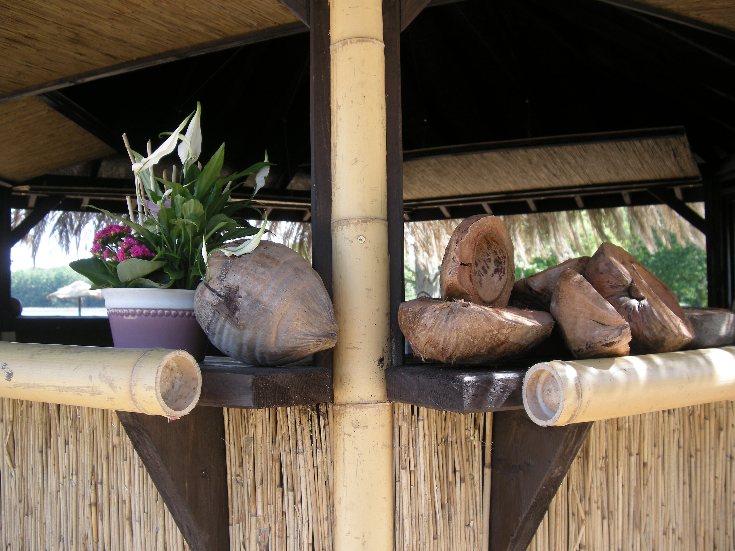 Garden Umbrella, Beach Umbrella, Tropical Umbrella, Hawaiian Umbrellas ...