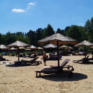 Puede incluir: Una escena de playa con m&uacute;ltiples sombrillas de paja y tumbonas en una playa de arena. La gente se relaja bajo las sombrillas y disfruta de un d&iacute;a soleado.