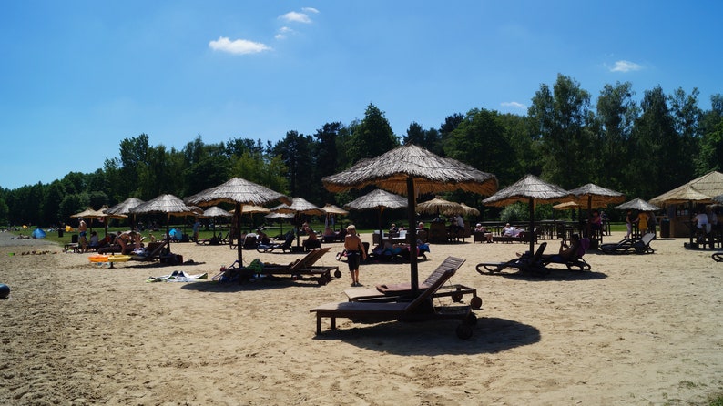 Puede incluir: Una escena de playa con m&uacute;ltiples sombrillas de paja y tumbonas en una playa de arena. La gente se relaja bajo las sombrillas y disfruta de un d&iacute;a soleado.