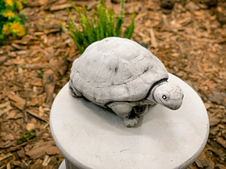Concrete Turtle Turtle Statue Cement Turtles Painted Etsy