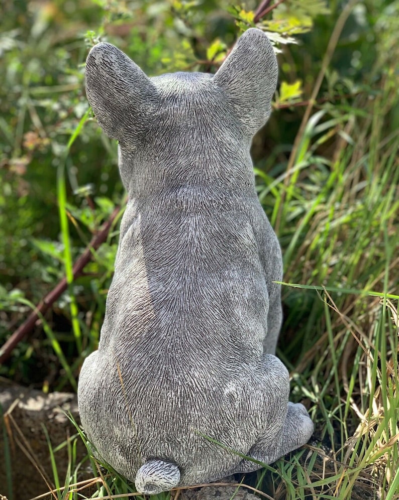 French Bulldog Statue Frenchie Bulldog Statues Concrete Dog image 2