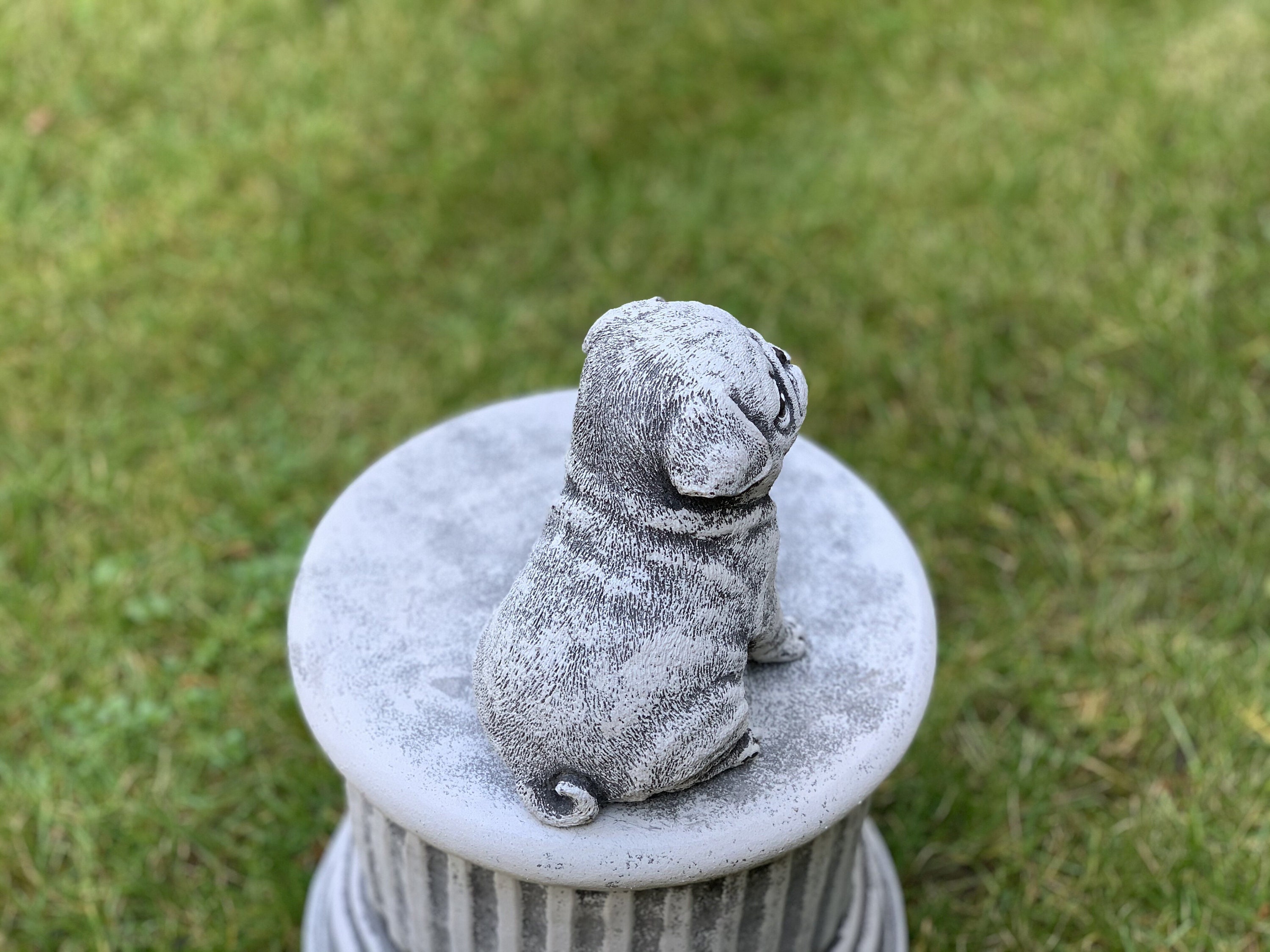Pug Statue Concrete Painted Pug Cement Dog Figure Pet Etsy