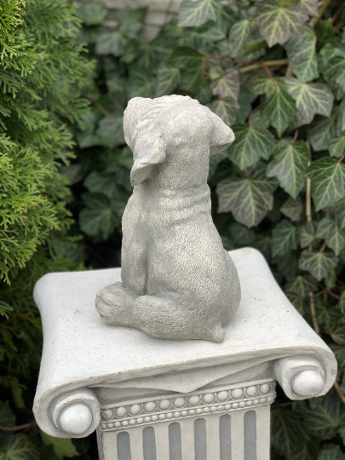 Labrador Statue Labrador Retriever Statue Labrador Concrete Etsy
