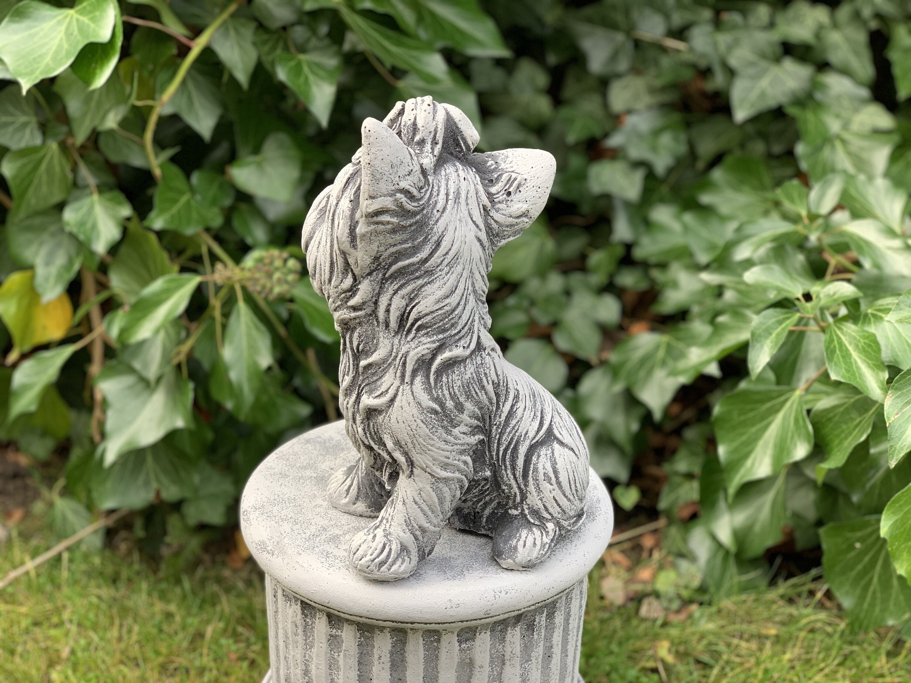 Yorkshire Terrier Concrete Dog Garden Statue Yorkie Figure Etsy