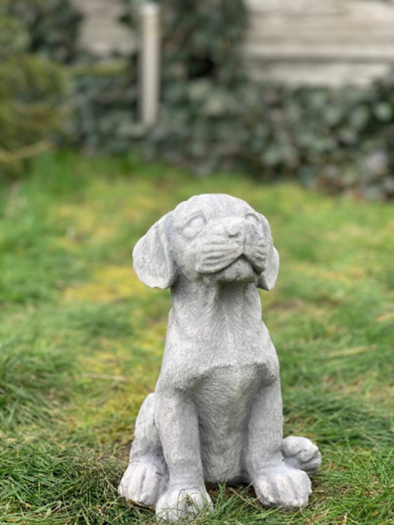 Labrador Statue Labrador Retriever Statue Labrador Concrete Etsy