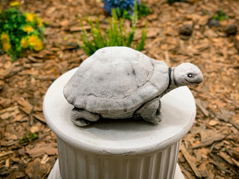 Concrete Turtle Turtle Statue Concrete Cement Turtles Etsy