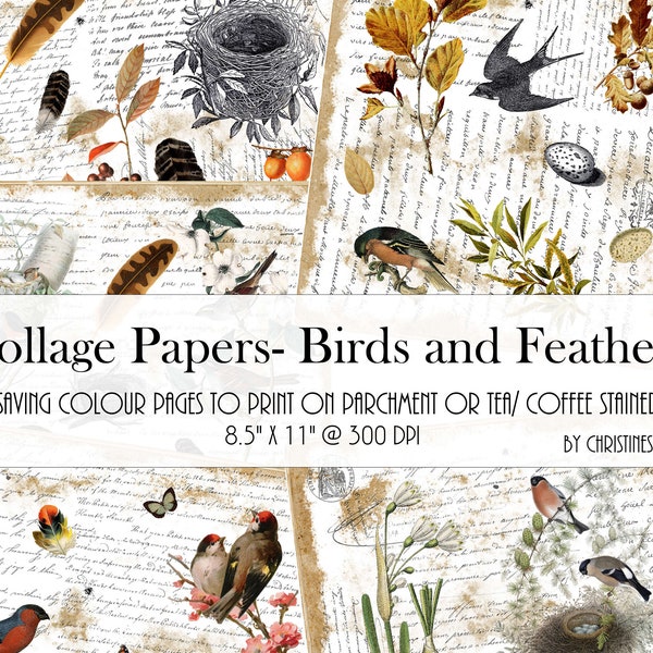 INK SAVING KIT- Collage Papers Digital Junk Journal Kit, Printables, Birds Theme, Ephemera, Digital Download, Art Journaling, Mixed Media