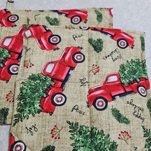 Christmas/Winter potholder/ hot pad set of 2
