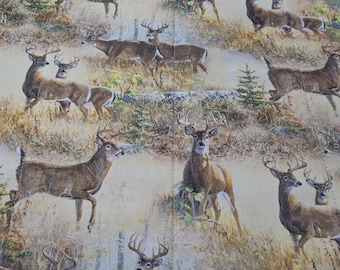 Deer/Buck wildlife placemats