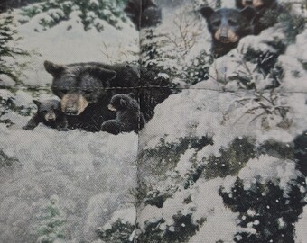 Bear/Wildlife/ winter Potholder/Hot pad set of 2