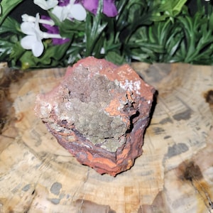 Cuprian Austanite Ojuela Mine